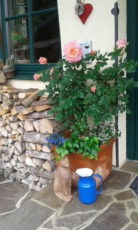 Holdhaeusl Appartement Schladming Kamer foto