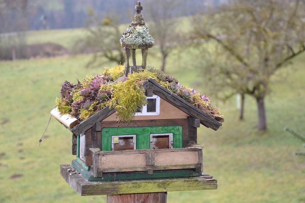 Holdhaeusl Appartement Schladming Kamer foto